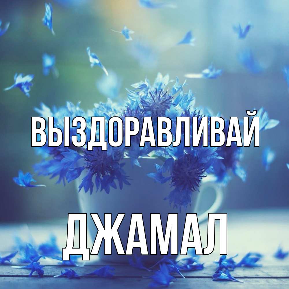 Открытка на каждый день с именем, Джамал Выздоравливай кружка с зельем и цветами Прикольная открытка с пожеланием онлайн скачать бесплатно 