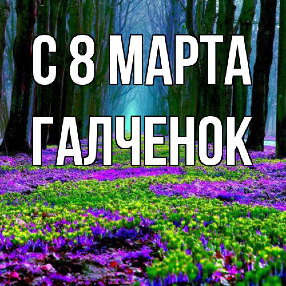 Открытка на каждый день с именем, Галченок C 8 МАРТА фиолетовые цветы в лесу 1 Прикольная открытка с пожеланием онлайн скачать бесплатно 