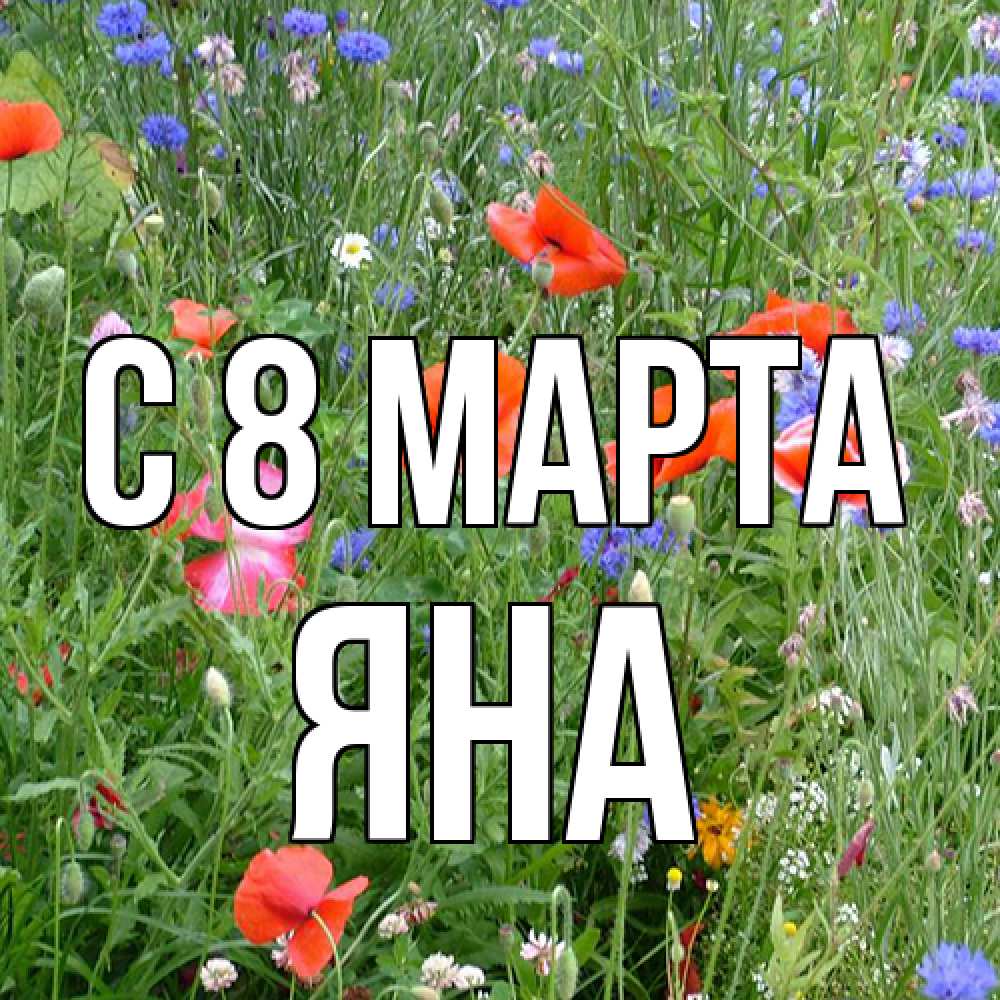 Открытка на каждый день с именем, Яна C 8 МАРТА международный женский день 4 Прикольная открытка с пожеланием онлайн скачать бесплатно 
