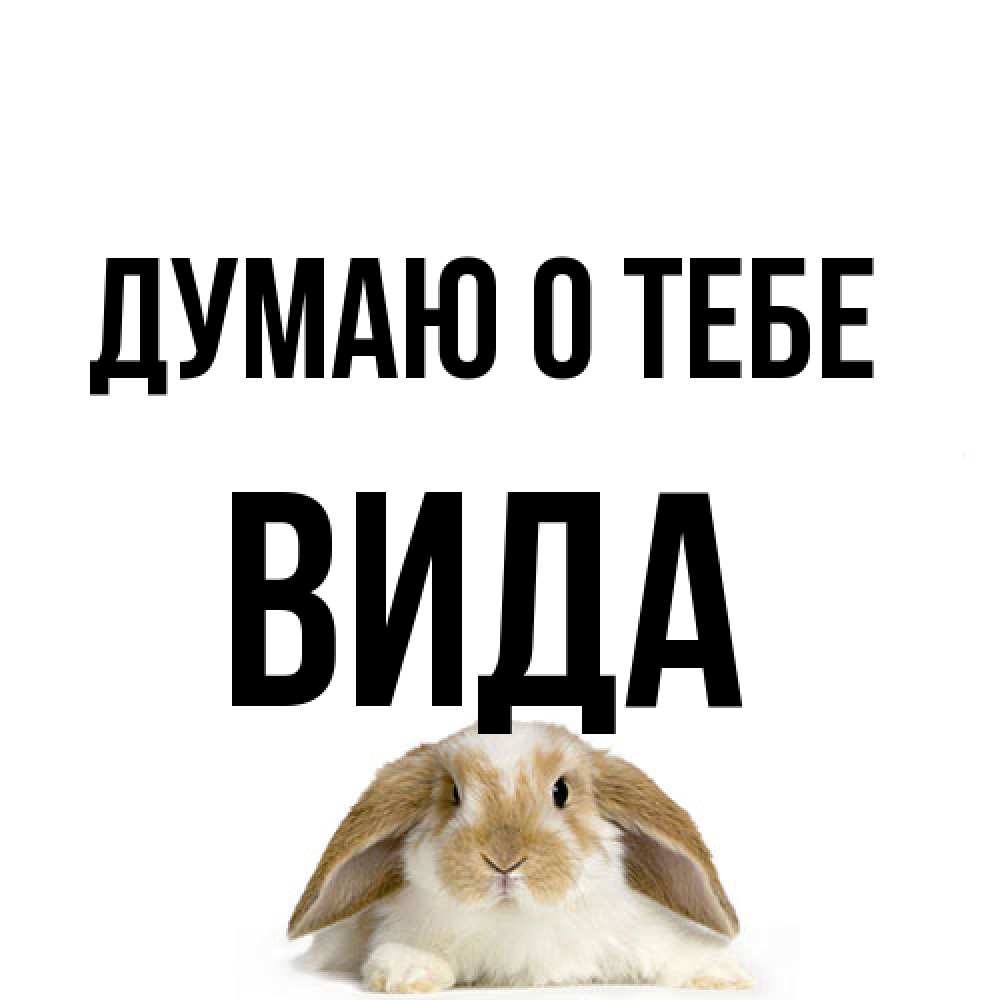 Открытка на каждый день с именем, Вида Думаю о тебе подписать своими руками онлайн Прикольная открытка с пожеланием онлайн скачать бесплатно 
