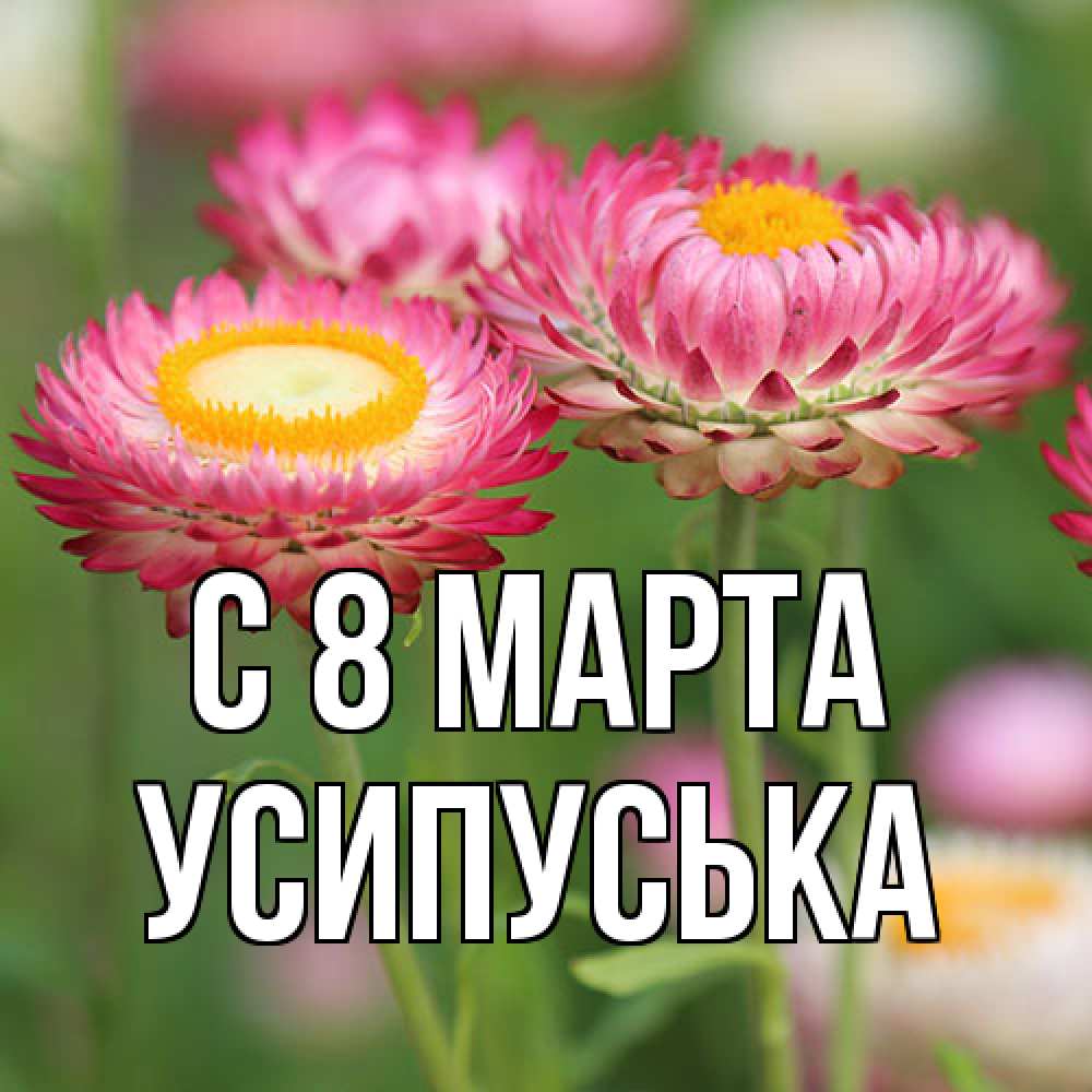 Открытка на каждый день с именем, усипуська C 8 МАРТА подарок на международный женский день Прикольная открытка с пожеланием онлайн скачать бесплатно 