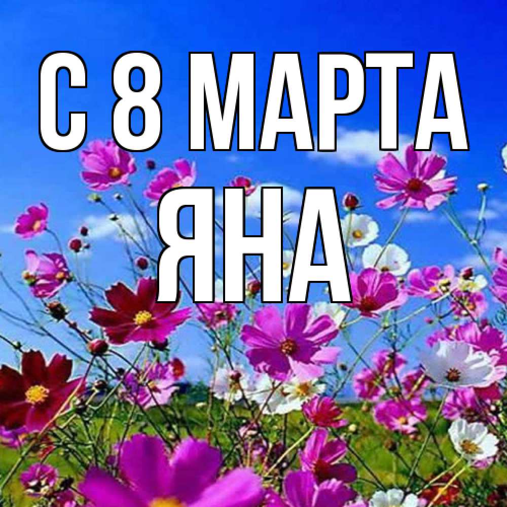 Открытка на каждый день с именем, Яна C 8 МАРТА цветы Прикольная открытка с пожеланием онлайн скачать бесплатно 