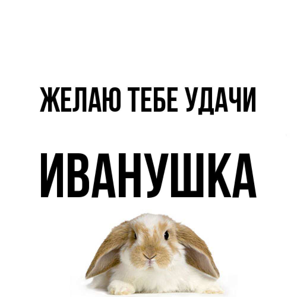 Открытка на каждый день с именем, Иванушка Желаю тебе удачи открытки с произвольным текстом который можно вставить в открытку и создать ее самостоятельно бесплатно онлайн Прикольная открытка с пожеланием онлайн скачать бесплатно 