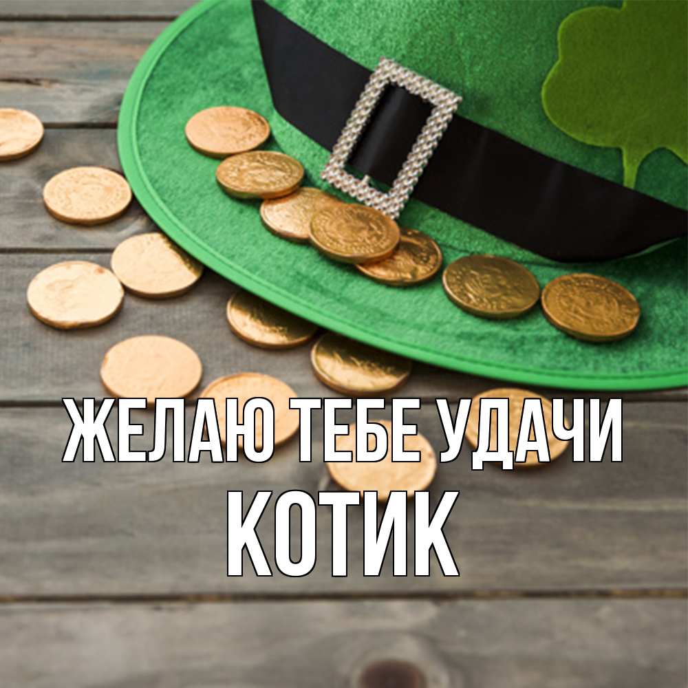 Открытка на каждый день с именем, Котик Желаю тебе удачи монеты Прикольная открытка с пожеланием онлайн скачать бесплатно 