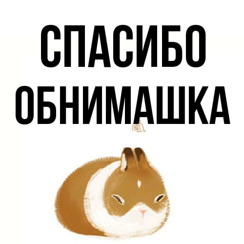 Открытка на каждый день с именем, обнимашка Спасибо коричнево белый домашний питомец Прикольная открытка с пожеланием онлайн скачать бесплатно 