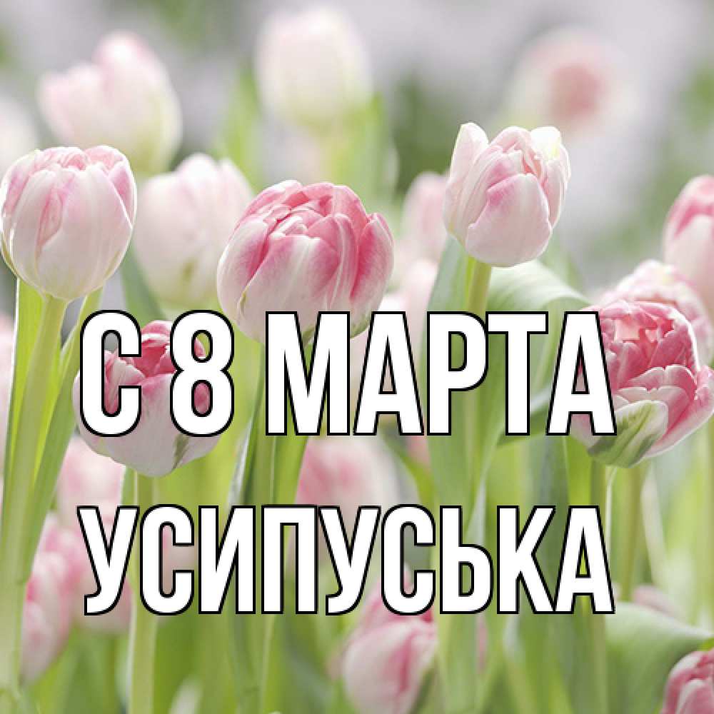 Открытка на каждый день с именем, усипуська C 8 МАРТА цветы Прикольная открытка с пожеланием онлайн скачать бесплатно 