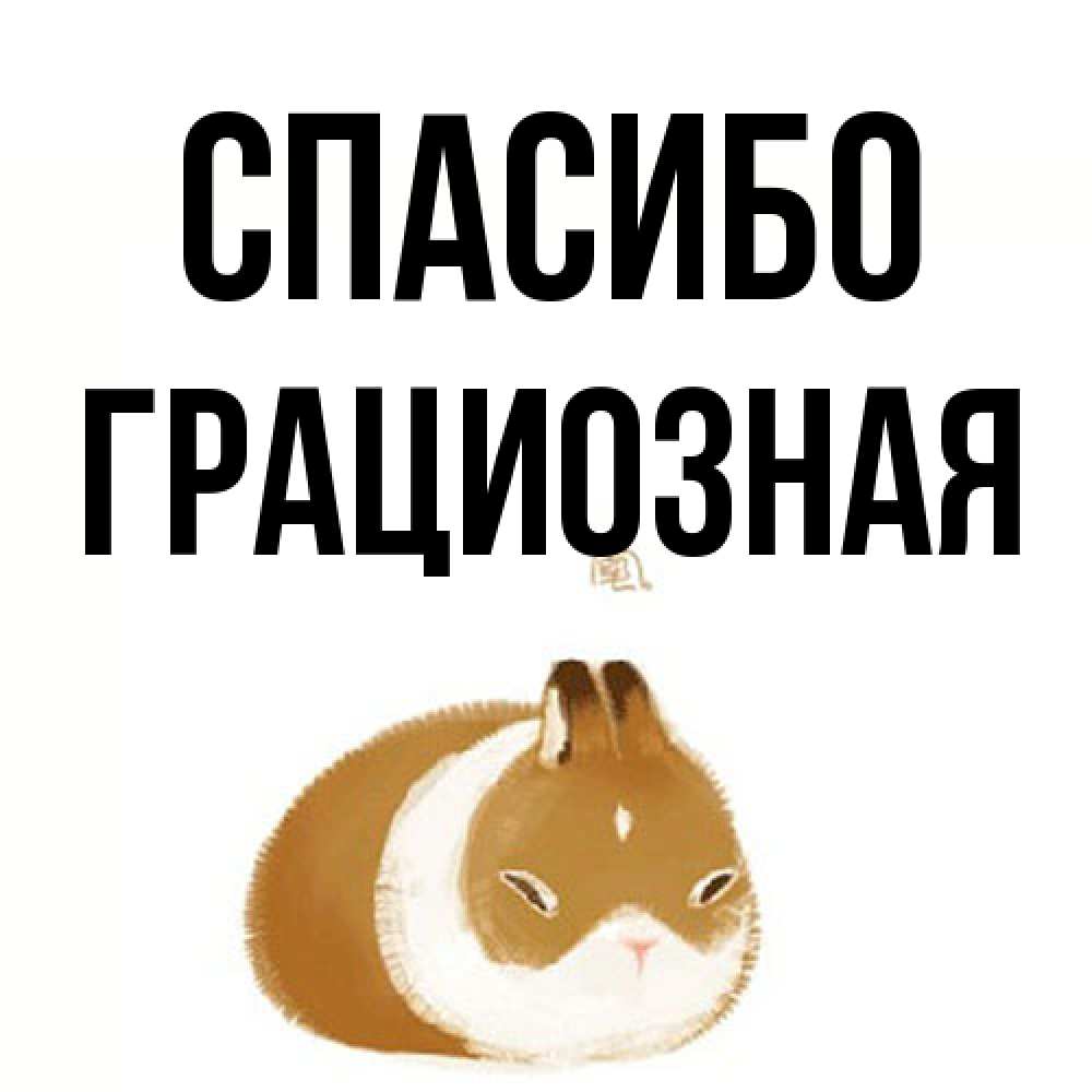 Открытка на каждый день с именем, Гpациозная Спасибо коричнево белый домашний питомец Прикольная открытка с пожеланием онлайн скачать бесплатно 