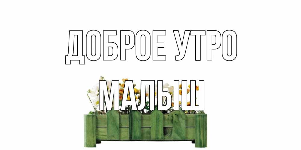 Открытка на каждый день с именем, Малыш Доброе утро цветы Прикольная открытка с пожеланием онлайн скачать бесплатно 