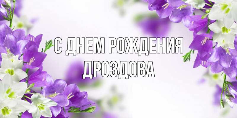 Картинка С днем рождения, Дроздова