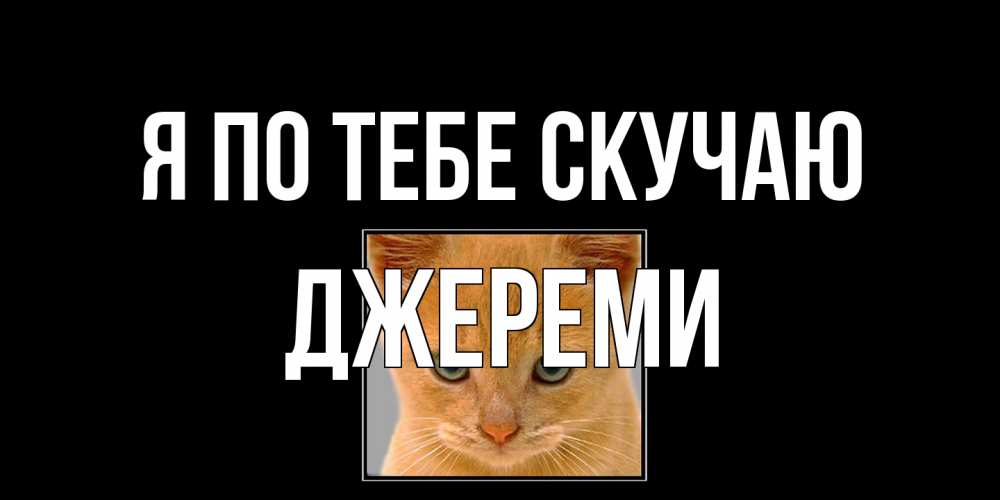 Открытка на каждый день с именем, Джереми Я по тебе скучаю открытки рыжий котенок скучает по тебе Прикольная открытка с пожеланием онлайн скачать бесплатно 