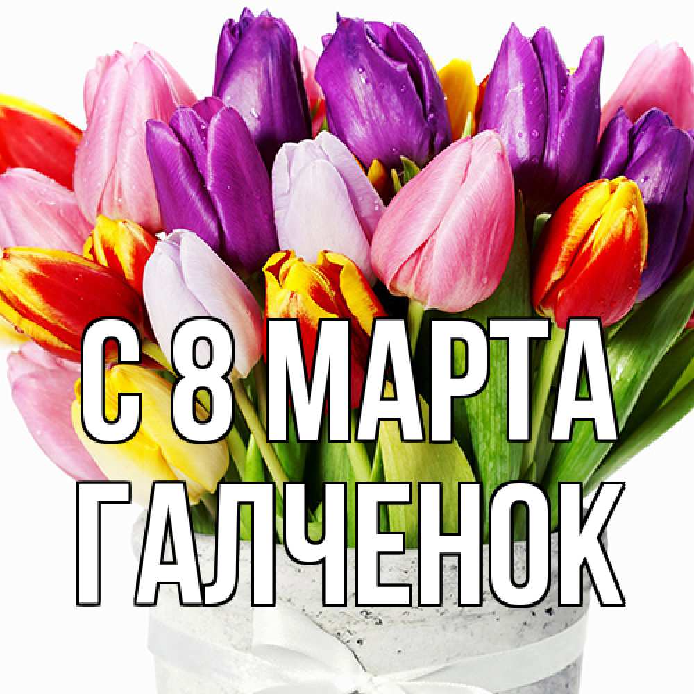 Открытка на каждый день с именем, Галченок C 8 МАРТА букет Прикольная открытка с пожеланием онлайн скачать бесплатно 