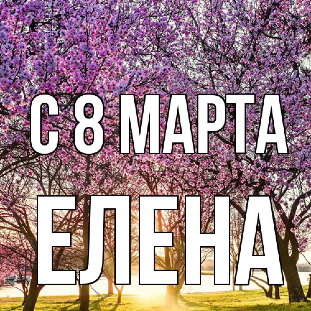 Открытка на каждый день с именем, Елена C 8 МАРТА международный женский день Прикольная открытка с пожеланием онлайн скачать бесплатно 
