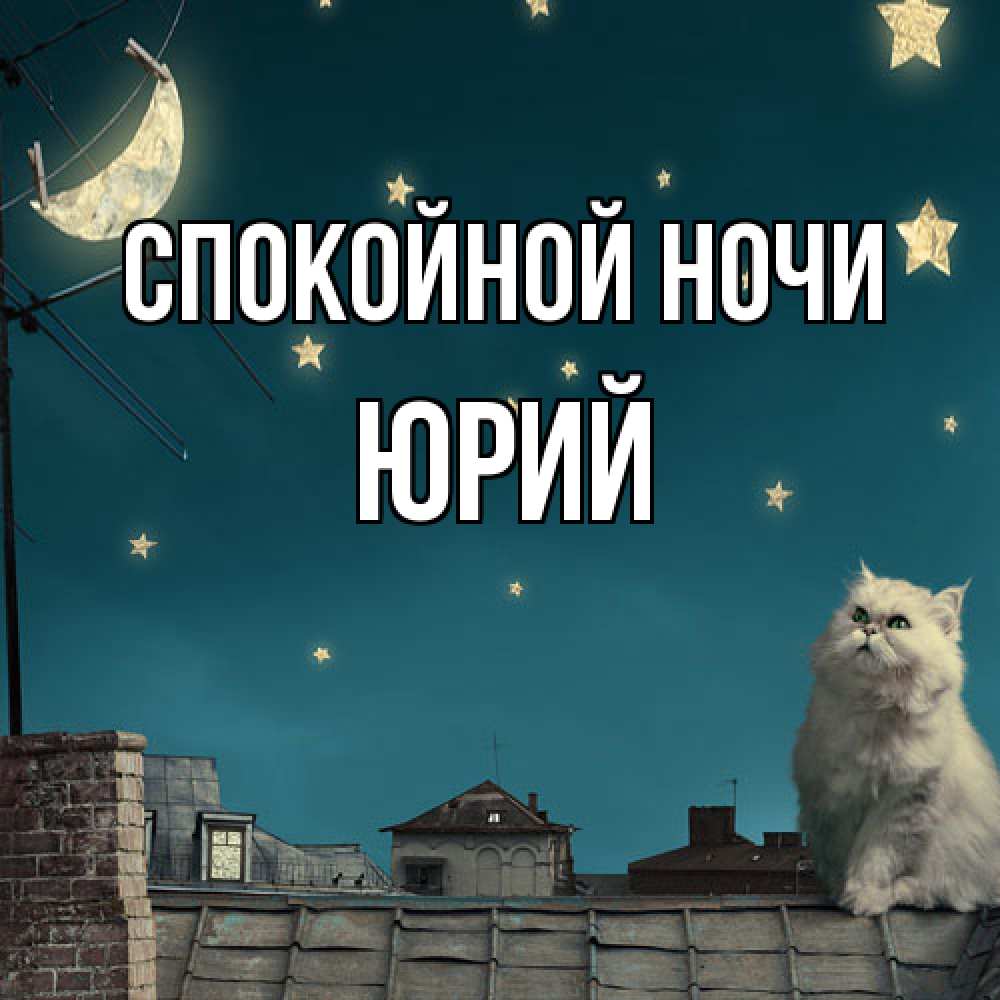 Открытка на каждый день с именем, Юрий Спокойной ночи белый кот сидит на крыше Прикольная открытка с пожеланием онлайн скачать бесплатно 