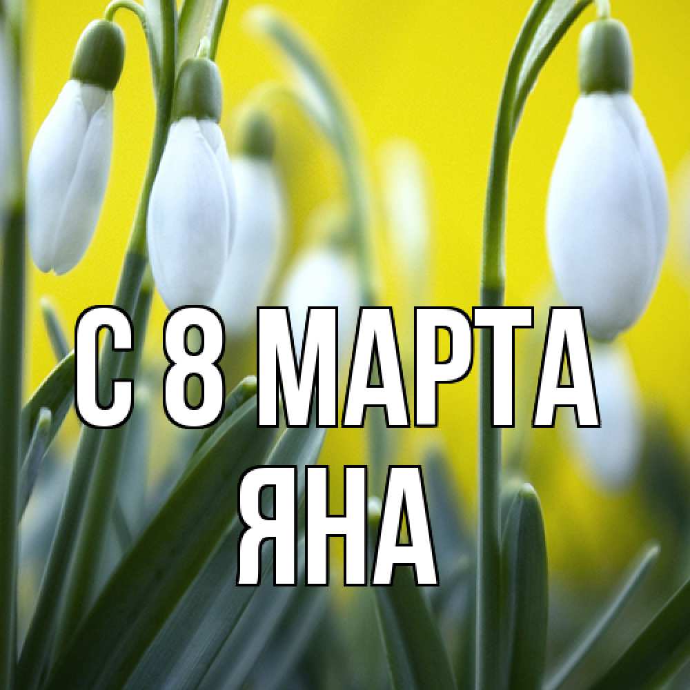 Открытка на каждый день с именем, Яна C 8 МАРТА весенние цветы Прикольная открытка с пожеланием онлайн скачать бесплатно 
