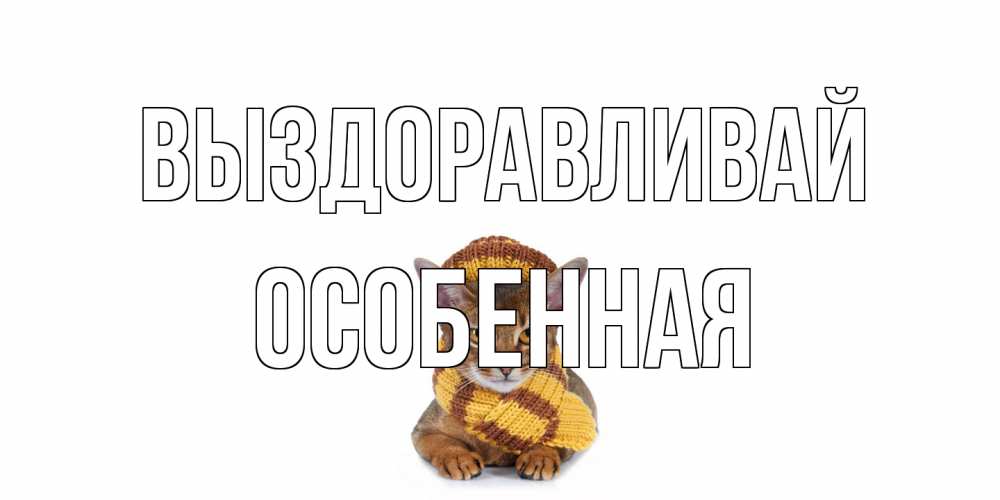 Открытка на каждый день с именем, Особенная Выздоравливай родные не болейте Прикольная открытка с пожеланием онлайн скачать бесплатно 