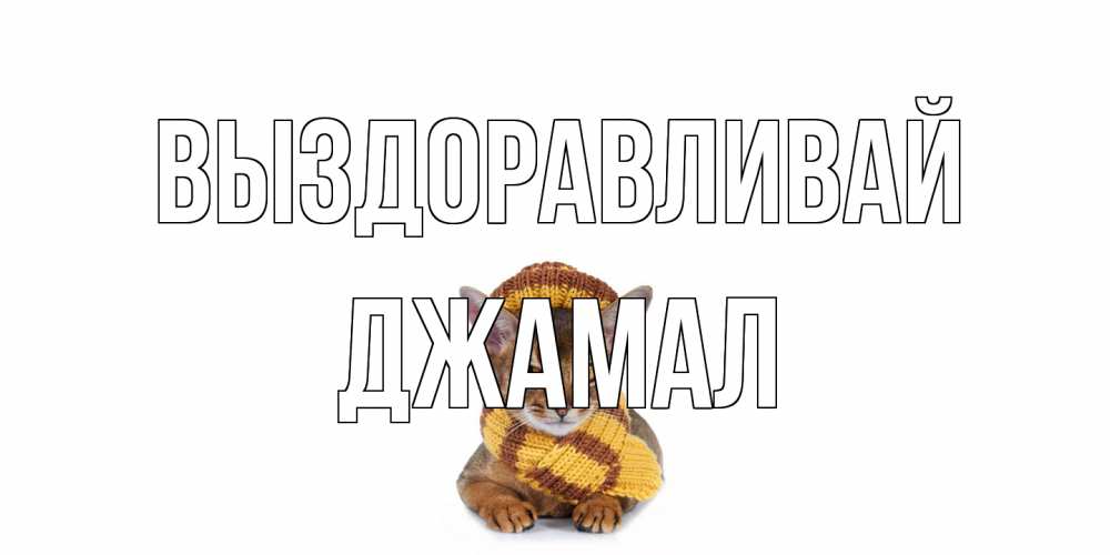 Открытка на каждый день с именем, Джамал Выздоравливай родные не болейте Прикольная открытка с пожеланием онлайн скачать бесплатно 