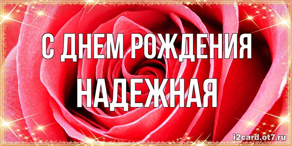 Открытка на каждый день с именем, надежная С днем рождения розовая роза очень крупный бутон Прикольная открытка с пожеланием онлайн скачать бесплатно 