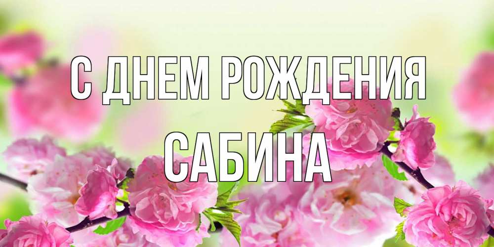 Открытка на каждый день с именем, Сабина С днем рождения веточки с цветками Прикольная открытка с пожеланием онлайн скачать бесплатно 