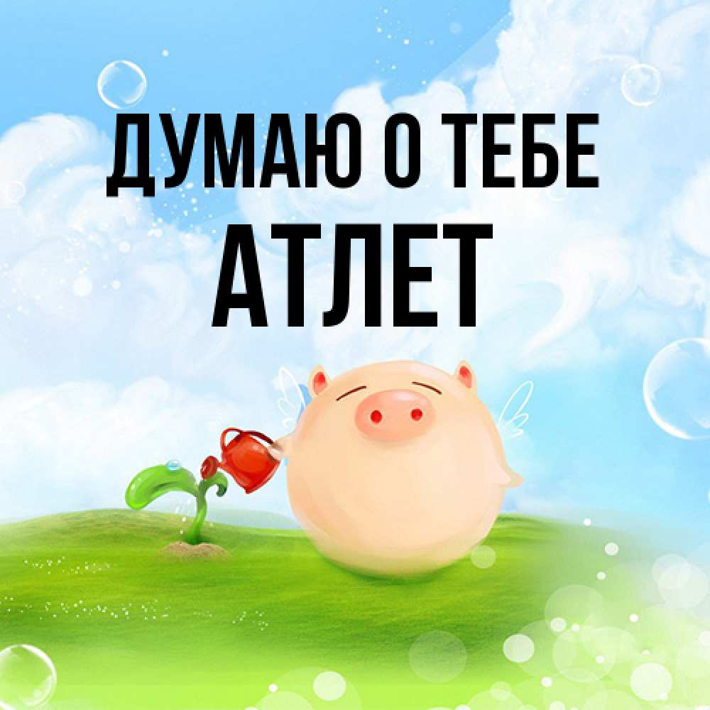 Открытка на каждый день с именем, Атлет Думаю о тебе позитивная свинюшка Прикольная открытка с пожеланием онлайн скачать бесплатно 