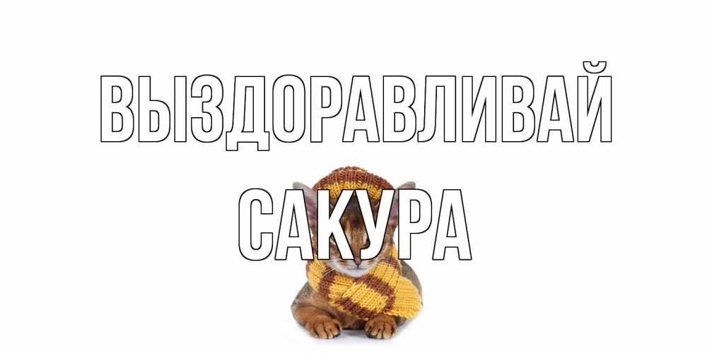 Открытка на каждый день с именем, Сакура Выздоравливай родные не болейте Прикольная открытка с пожеланием онлайн скачать бесплатно 