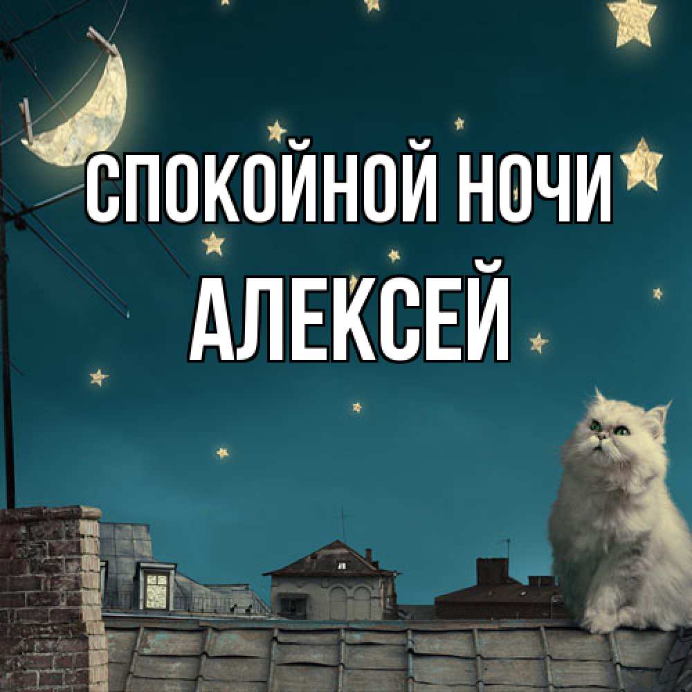 Открытка на каждый день с именем, Алексей Спокойной ночи белый кот сидит на крыше Прикольная открытка с пожеланием онлайн скачать бесплатно 