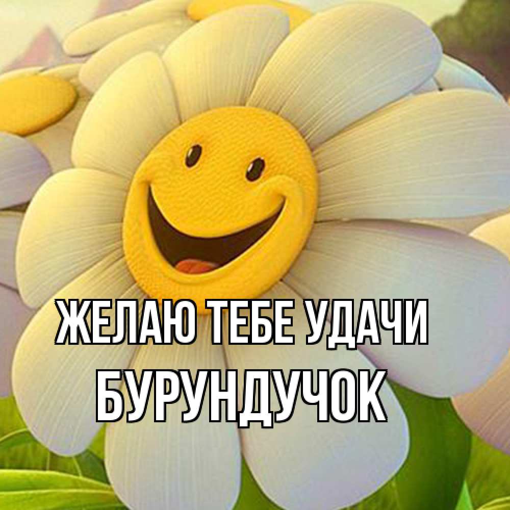 Открытка на каждый день с именем, бурундучок Желаю тебе удачи подписать открытку своим текстом Прикольная открытка с пожеланием онлайн скачать бесплатно 