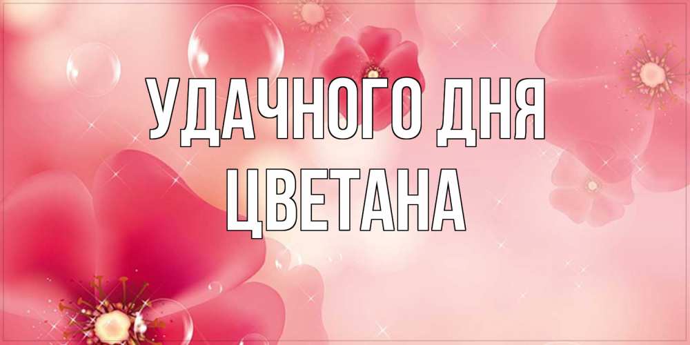 Открытка на каждый день с именем, Цветана Удачного дня красивая открытка с цветами Прикольная открытка с пожеланием онлайн скачать бесплатно 