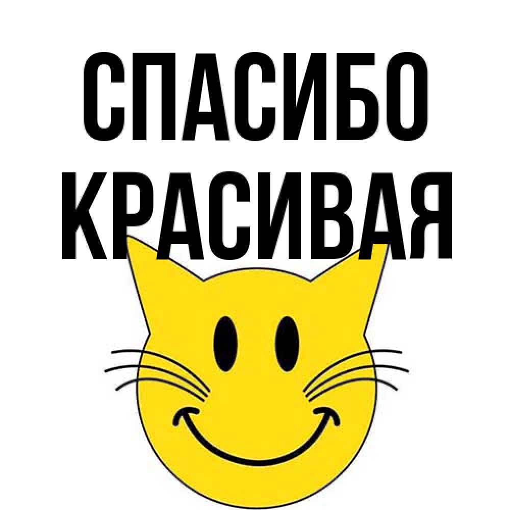 Открытка на каждый день с именем, Красивая Спасибо улыбающийся смайл кот Прикольная открытка с пожеланием онлайн скачать бесплатно 