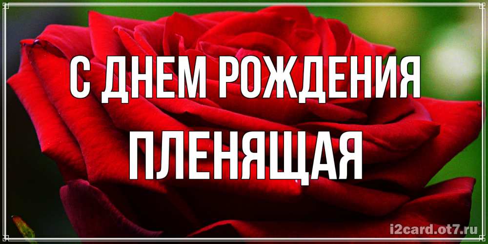 Открытка на каждый день с именем, пленящая С днем рождения розочка очень красивая Прикольная открытка с пожеланием онлайн скачать бесплатно 