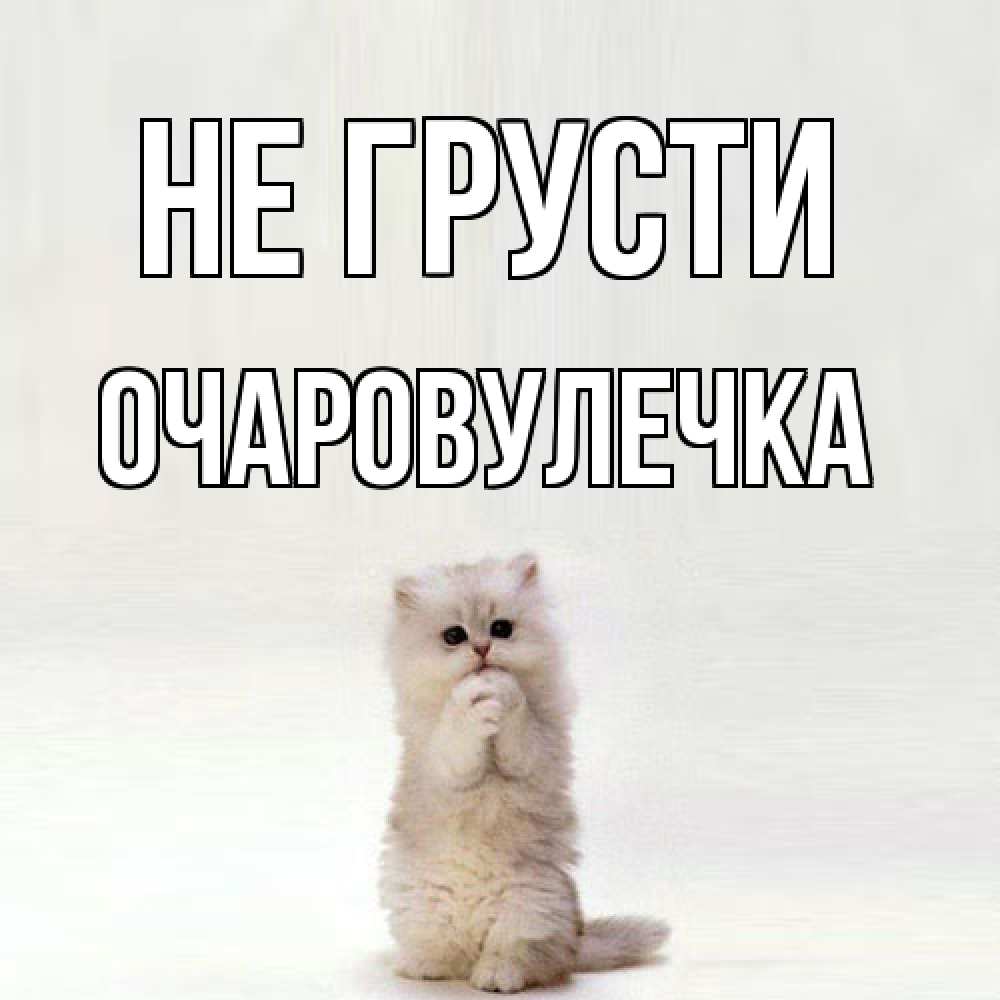 Открытка на каждый день с именем, Очаpовулечка Не грусти грустный кот Прикольная открытка с пожеланием онлайн скачать бесплатно 