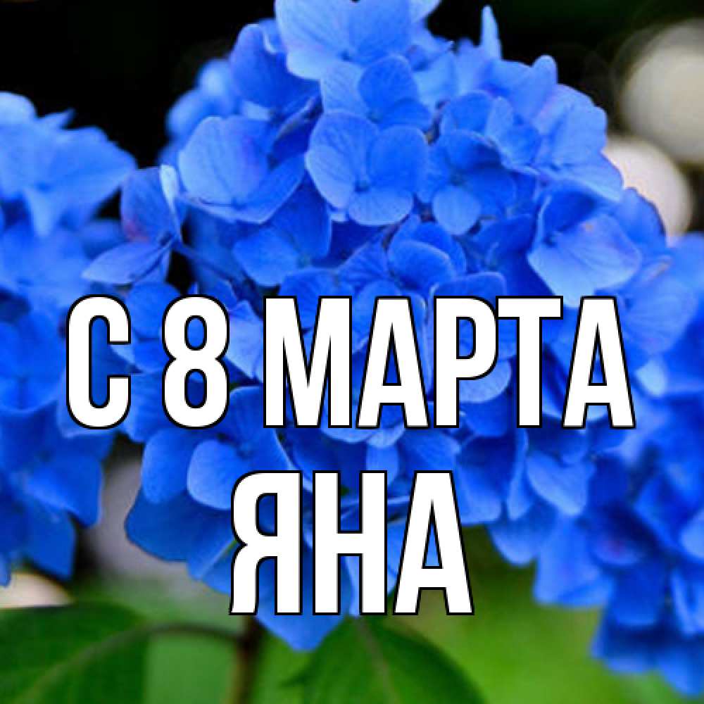 Открытка на каждый день с именем, Яна C 8 МАРТА синие цветы Прикольная открытка с пожеланием онлайн скачать бесплатно 