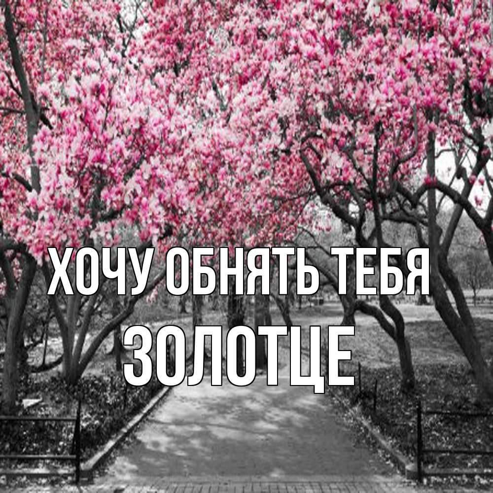 Открытка на каждый день с именем, Золотце Хочу обнять тебя обработанное фото Прикольная открытка с пожеланием онлайн скачать бесплатно 