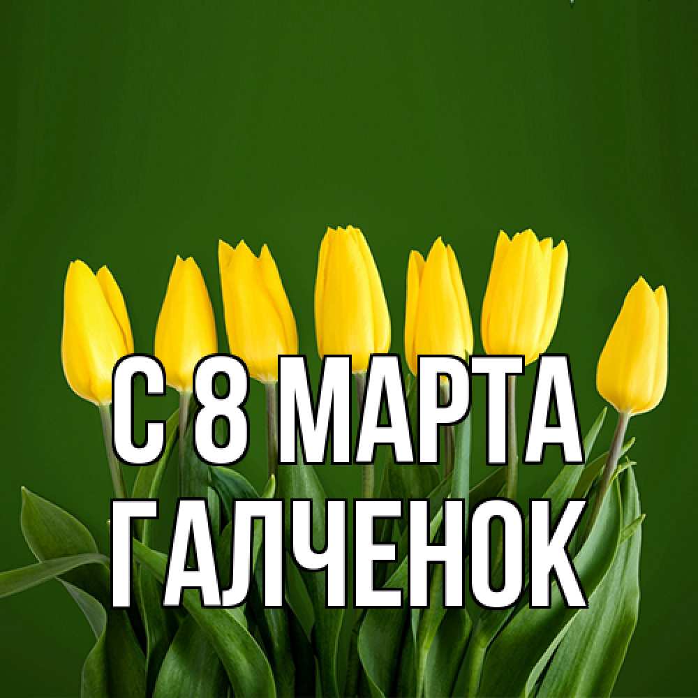 Открытка на каждый день с именем, Галченок C 8 МАРТА желтого цвета 3 Прикольная открытка с пожеланием онлайн скачать бесплатно 