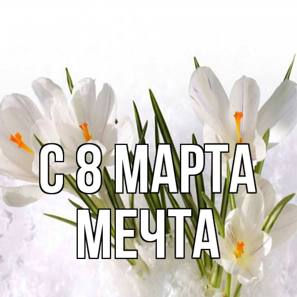 Открытка на каждый день с именем, мечта C 8 МАРТА под снегом Прикольная открытка с пожеланием онлайн скачать бесплатно 