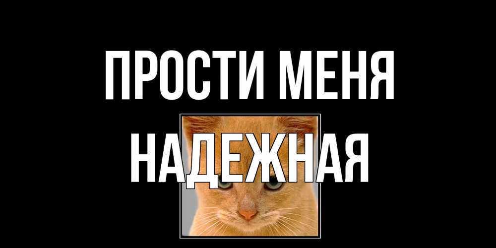 Открытка на каждый день с именем, надежная Прости меня рыжий грустный кот просит прощения Прикольная открытка с пожеланием онлайн скачать бесплатно 