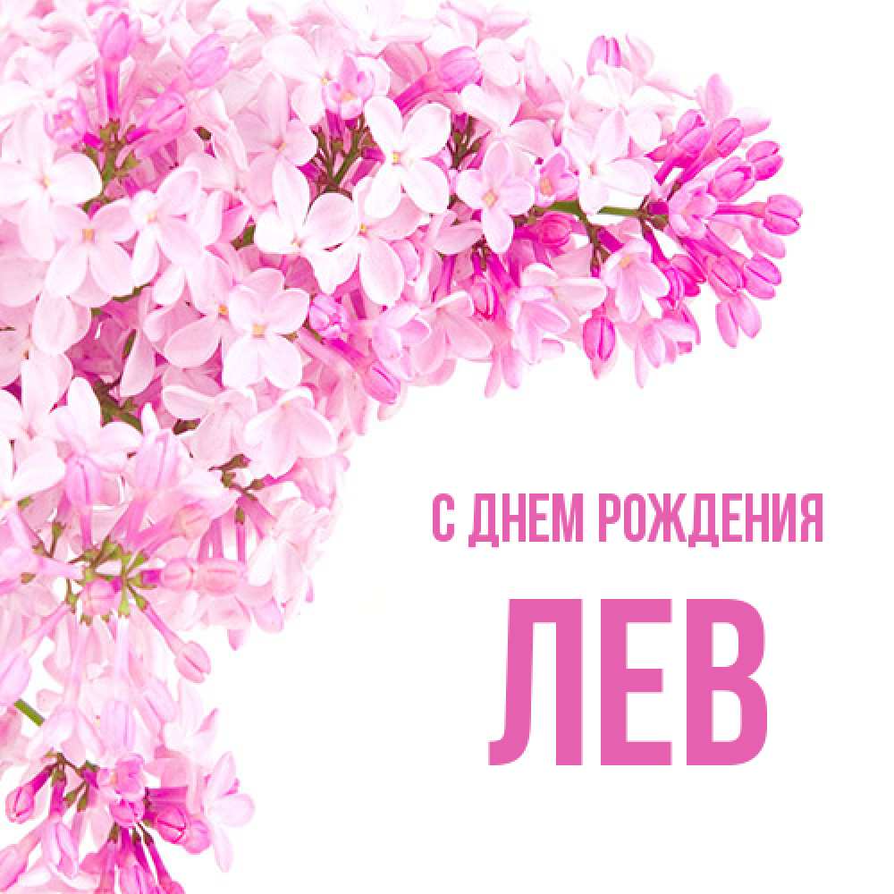 Открытка на каждый день с именем, Лев С днем рождения Сирень на белом фоне Прикольная открытка с пожеланием онлайн скачать бесплатно 