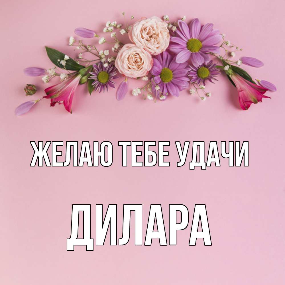 Открытка на каждый день с именем, Дилара Желаю тебе удачи розовый фон Прикольная открытка с пожеланием онлайн скачать бесплатно 