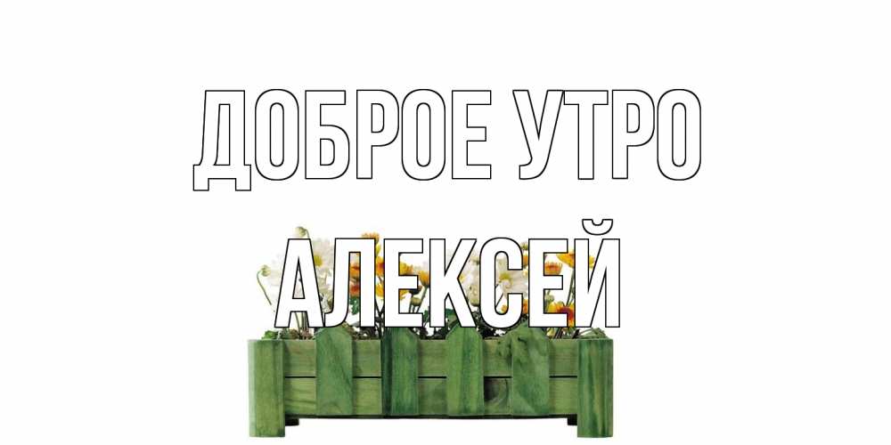 Открытка на каждый день с именем, Алексей Доброе утро цветы Прикольная открытка с пожеланием онлайн скачать бесплатно 