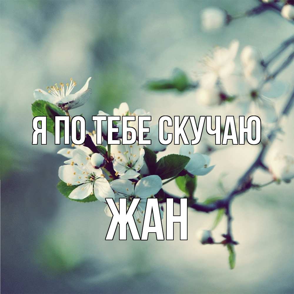 Открытка на каждый день с именем, Жан Я по тебе скучаю весна Прикольная открытка с пожеланием онлайн скачать бесплатно 
