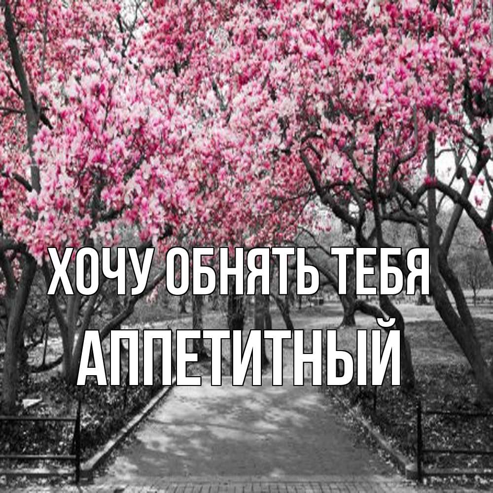 Открытка на каждый день с именем, Аппетитный Хочу обнять тебя обработанное фото Прикольная открытка с пожеланием онлайн скачать бесплатно 