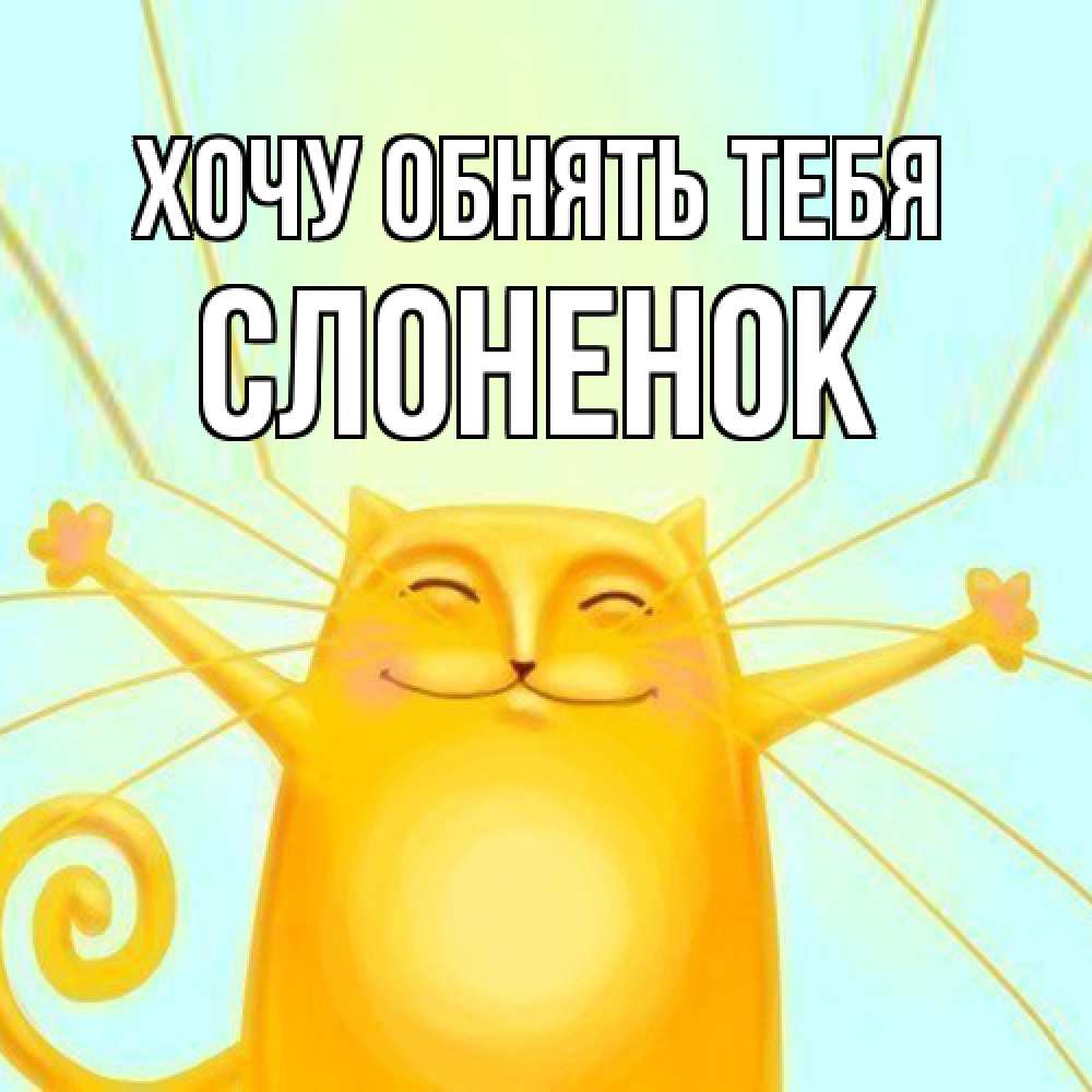 Открытка на каждый день с именем, Слоненок Хочу обнять тебя солнечный обнимашечный кот Прикольная открытка с пожеланием онлайн скачать бесплатно 