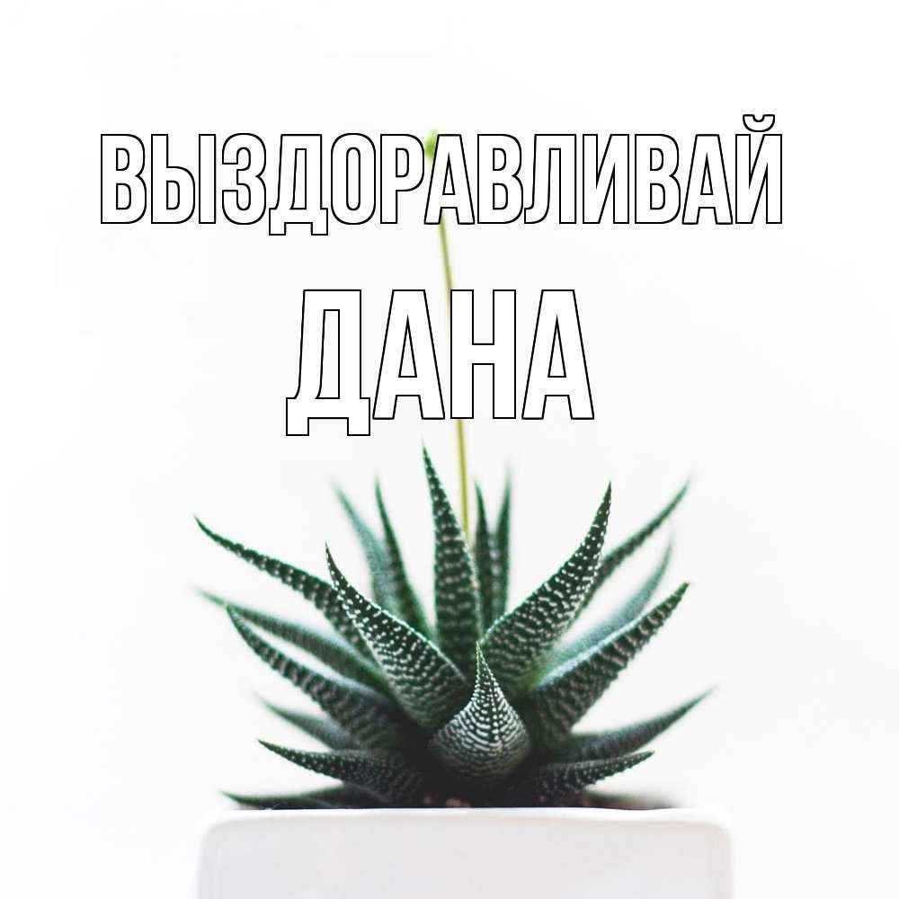 Открытка на каждый день с именем, Дана Выздоравливай короче это непонятная колючка Прикольная открытка с пожеланием онлайн скачать бесплатно 