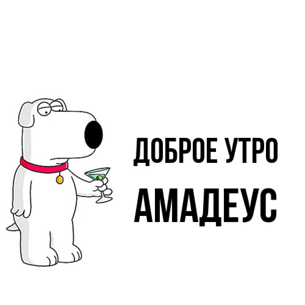 Открытка на каждый день с именем, Амадеус Доброе утро герои мультфильмов белый пес Прикольная открытка с пожеланием онлайн скачать бесплатно 