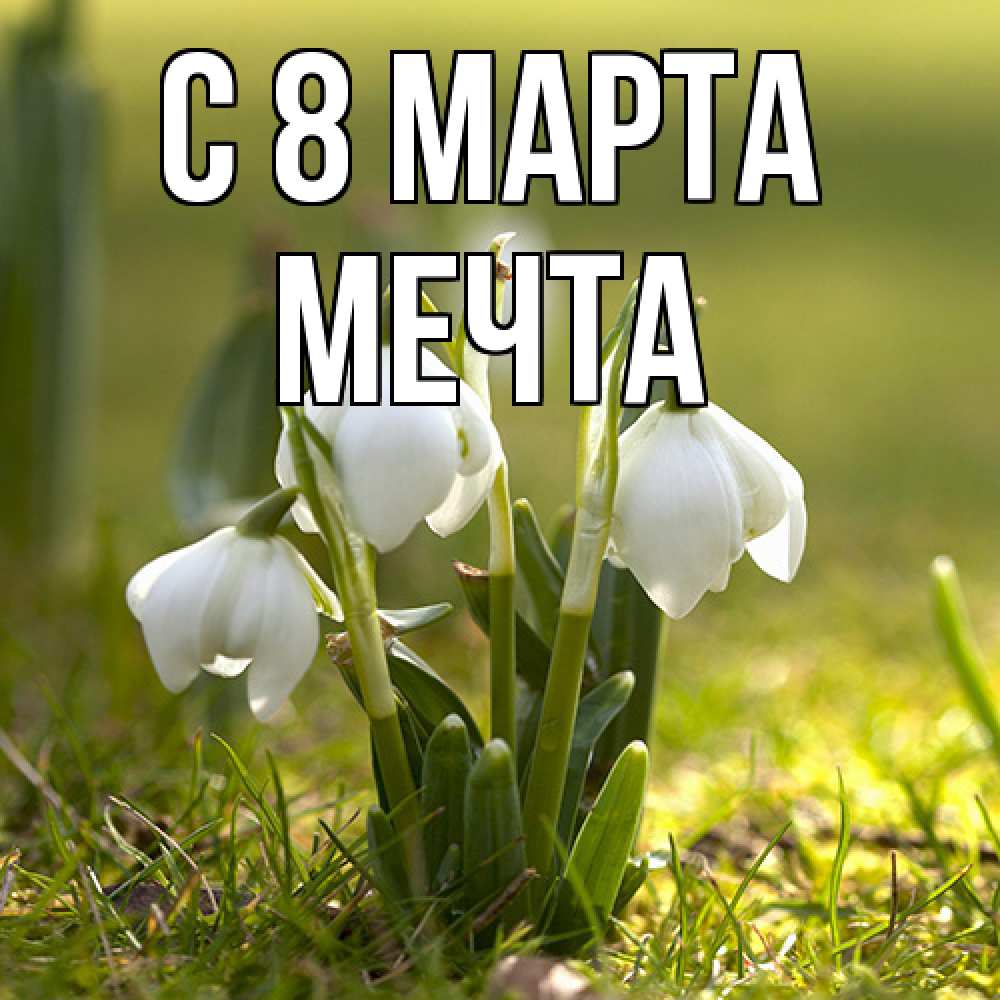 Открытка на каждый день с именем, мечта C 8 МАРТА ранние цветы 2 Прикольная открытка с пожеланием онлайн скачать бесплатно 