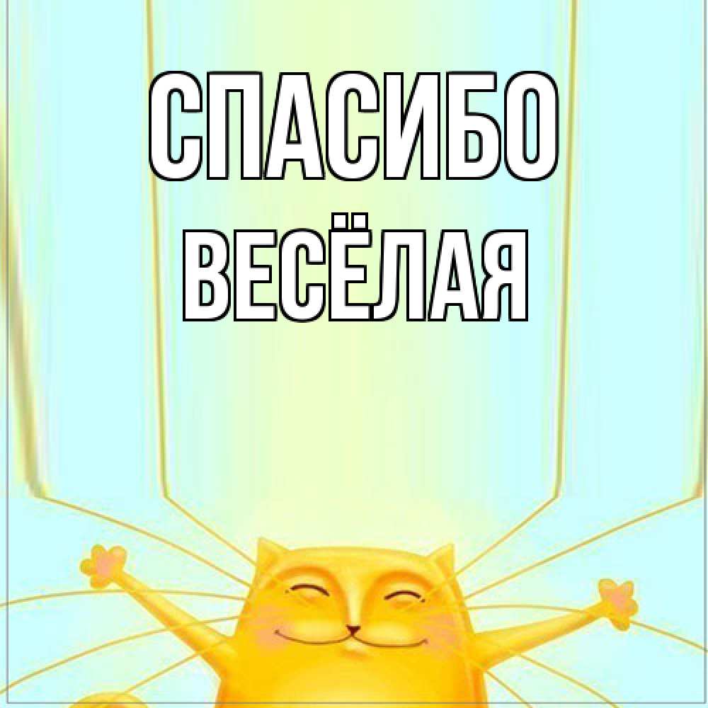 Открытка на каждый день с именем, Весёлая Спасибо кот с усами благодарит Прикольная открытка с пожеланием онлайн скачать бесплатно 