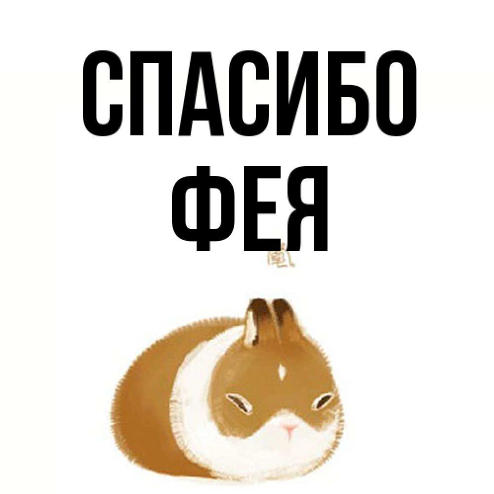 Открытка на каждый день с именем, фея Спасибо коричнево белый домашний питомец Прикольная открытка с пожеланием онлайн скачать бесплатно 
