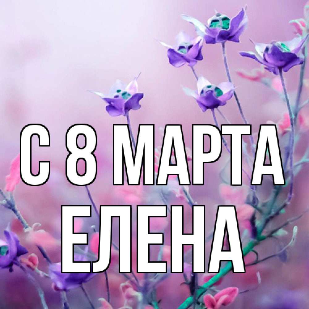 Открытка на каждый день с именем, Елена C 8 МАРТА международный женский день 2 Прикольная открытка с пожеланием онлайн скачать бесплатно 