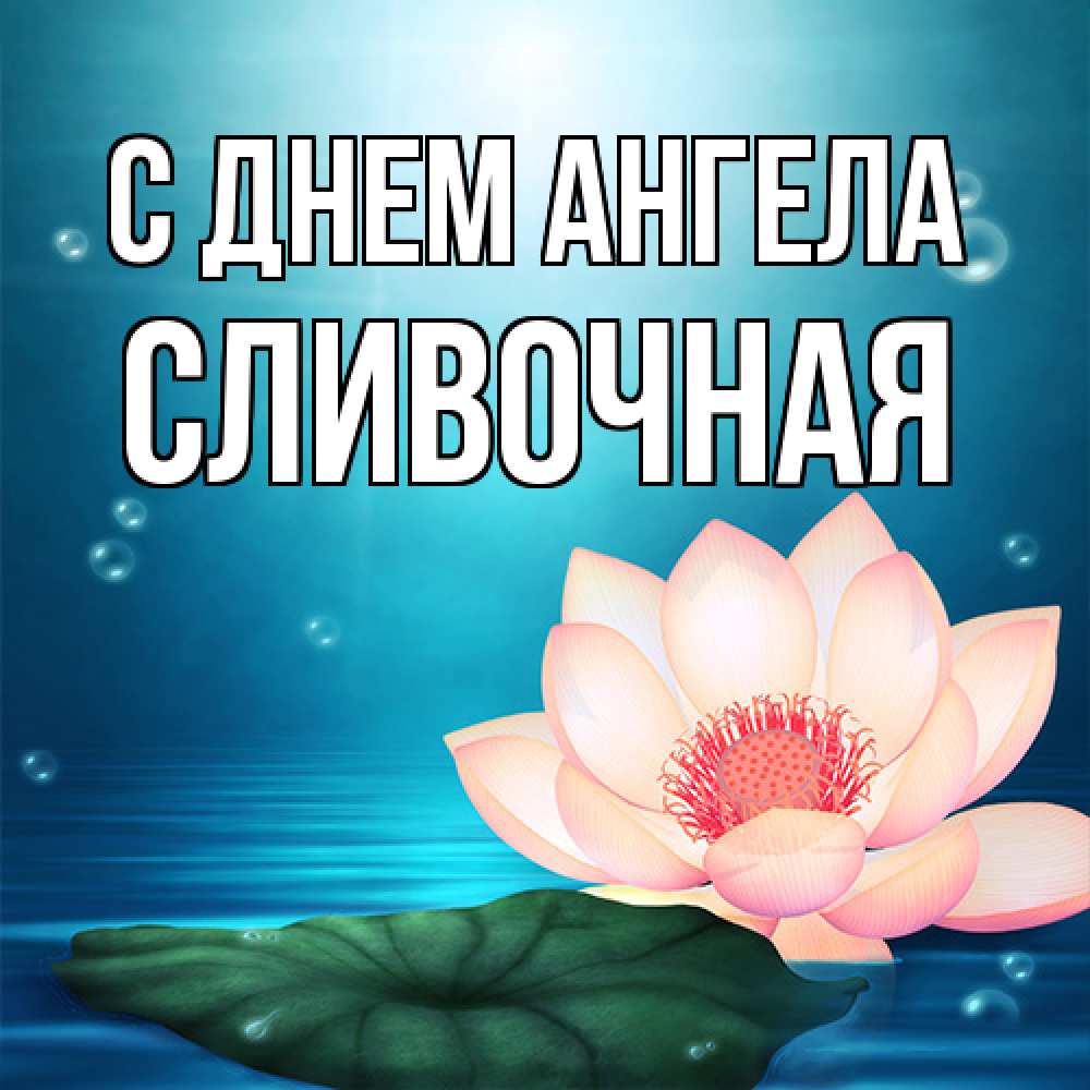 Открытка на каждый день с именем, Сливочная С днем ангела кувшинка Прикольная открытка с пожеланием онлайн скачать бесплатно 
