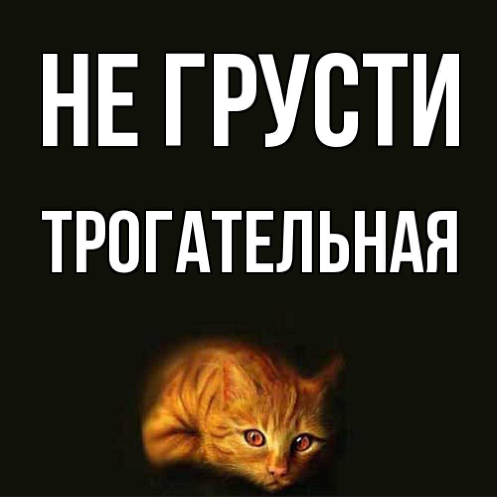Открытка на каждый день с именем, Трогательная Не грусти лежащий кот в темноте Прикольная открытка с пожеланием онлайн скачать бесплатно 
