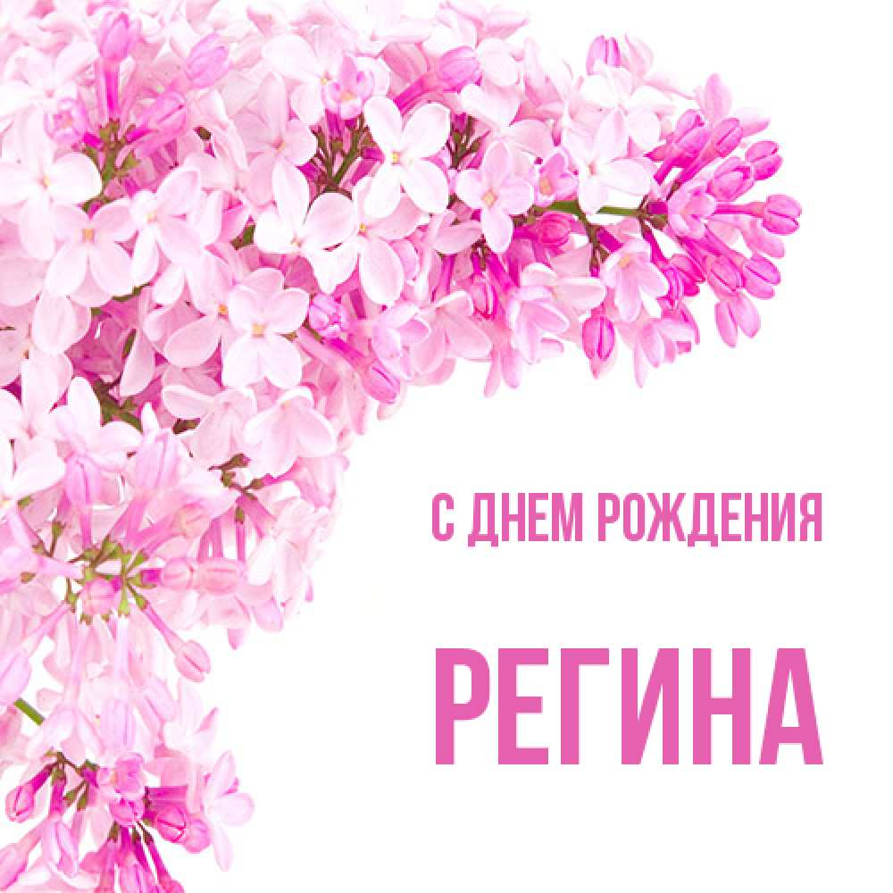 Открытка на каждый день с именем, Регина С днем рождения Сирень на белом фоне Прикольная открытка с пожеланием онлайн скачать бесплатно 